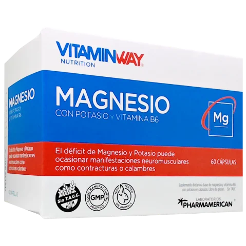 VITAMIN WAY MAGNESIO ESTX60C