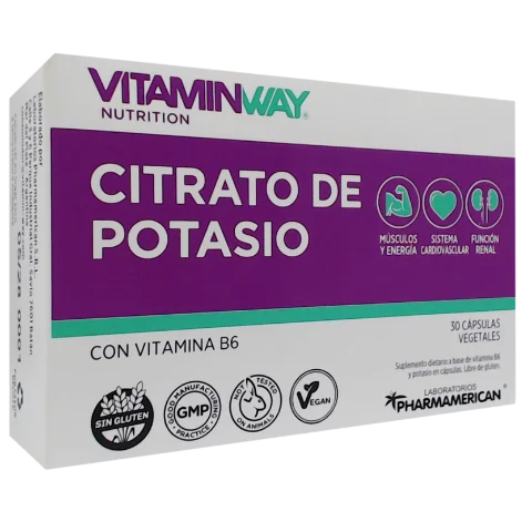 VITAMIN WAY CIT POTASIO X30C