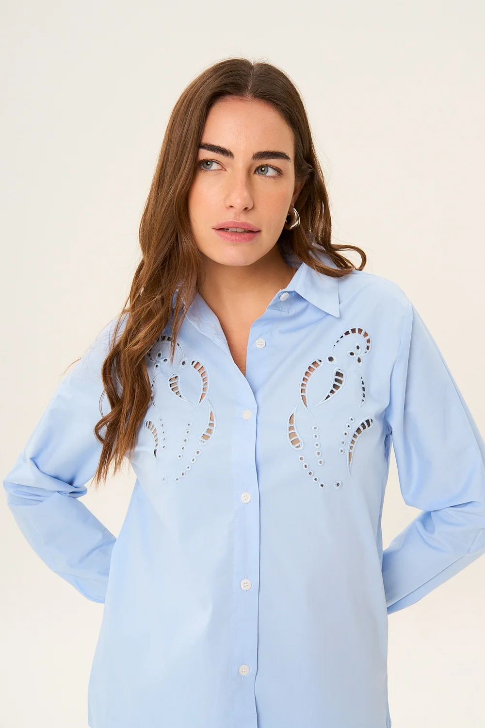 Camisa Biscuit
