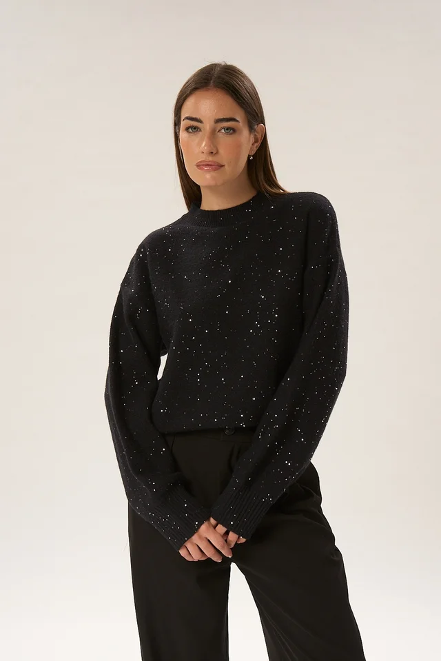 Sweater Plagne