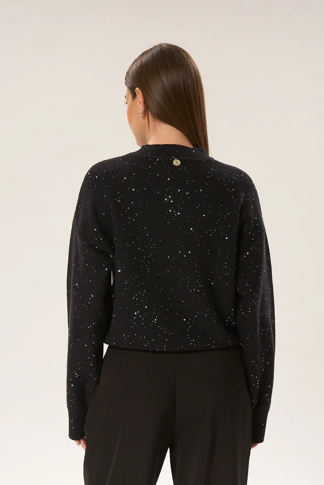 Sweater Plagne