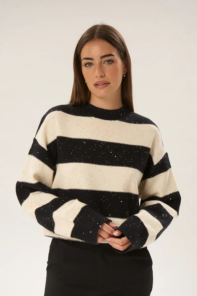 Sweater Plagne