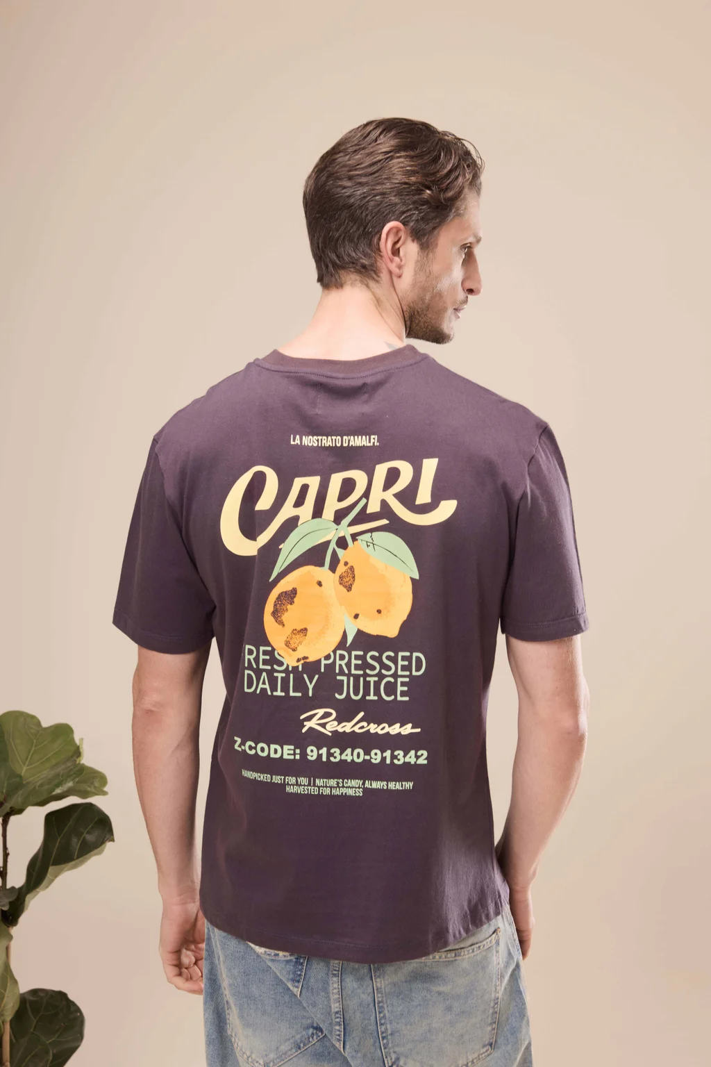 29441 - REMERA CAPRI