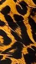 Animal Print 13