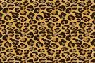 Animal print