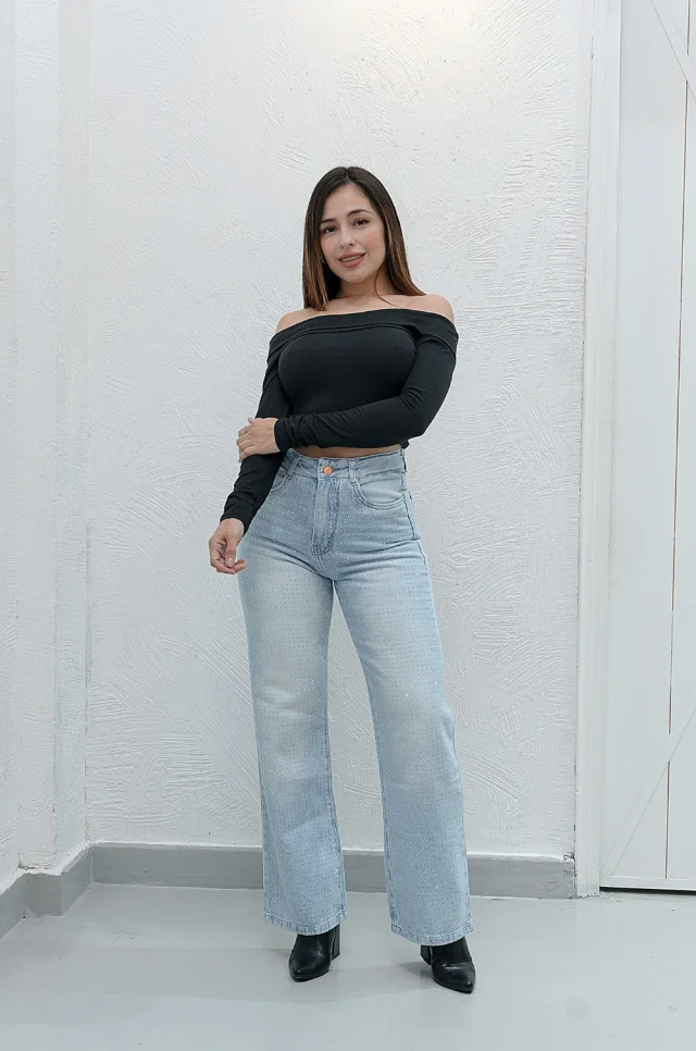 0102 - WIDE LEG CLARA BRILLO