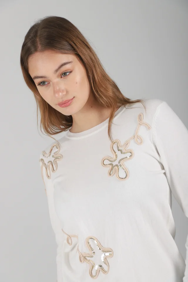 Sweater FENNY Bremer Bordado c/ Lentejuelas GUL682