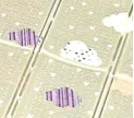 Nubes 601CL