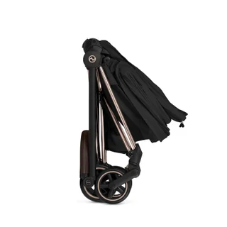 Moises Cybex Style Mios y Coya - Vista 4