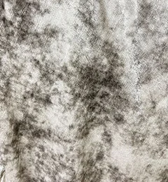 SED BTK BEIGE