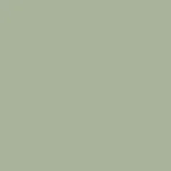 VIS VERDE
