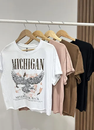Remera MICHIGAN - Vista 5