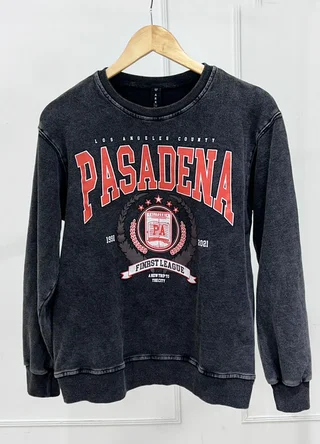 Buzo estampado PASADENA - Vista 4