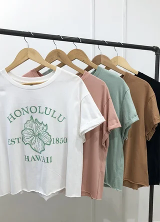 Remera HONOLULU HAWAI  - Vista 4