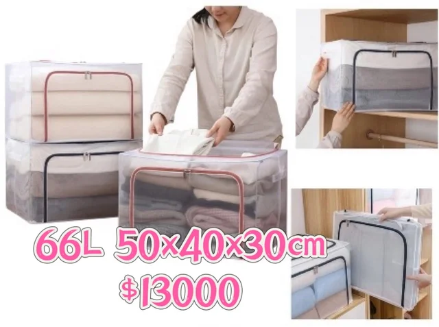 ORGANIZADOR 66L
