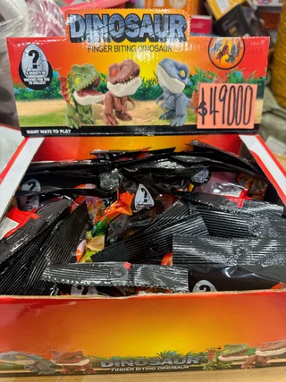 *24 DINOS - Vista 1