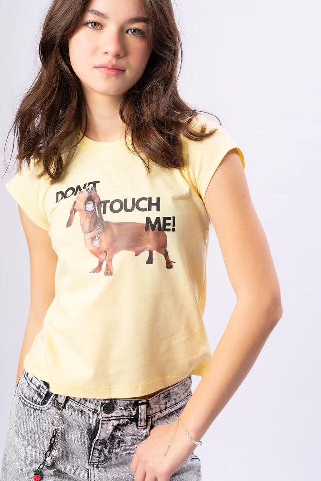 Remera Perrito Salchicha En Jersey