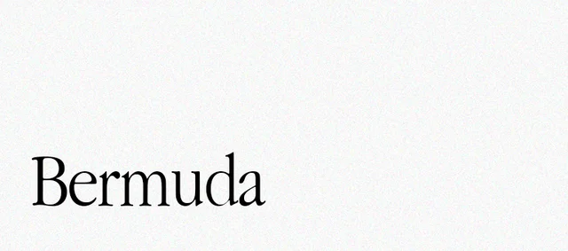 ver todo bermuda