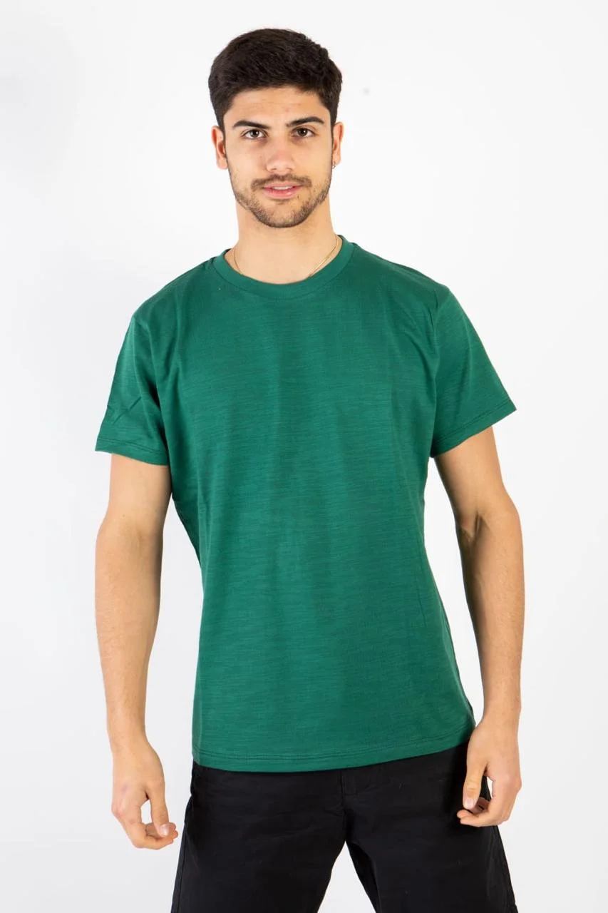 81409 - REMERA BASICA FLAME