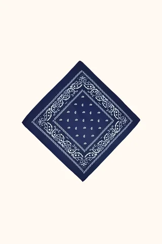 Pañuelo Harrison - Vista 2