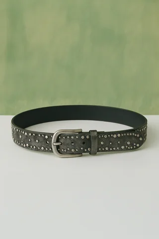 Cinturón Idaeus - Vista 2