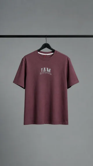 60462 - REMERA 16/1 ESTAMPADA - Vista 3