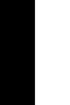 Blanco c/negro