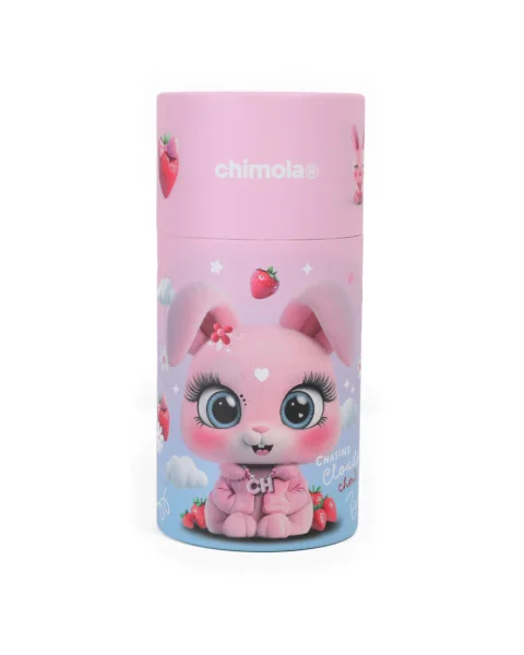 LIB0063 - ST52-SET DE MARCADORES X24 CONEJO