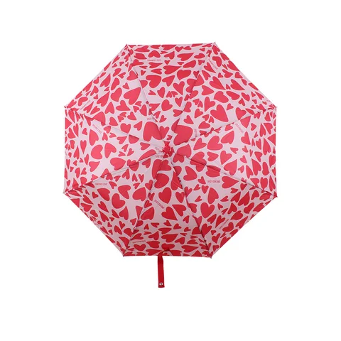 PARAG0052 - 28987 PARAGUA ORIRO  ROSA