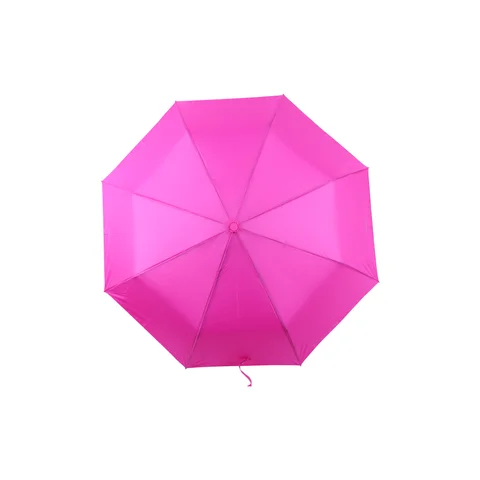 PARAG0007 - 28440 - PARAGUA OREIRO LOVE T2 FICSIOA 