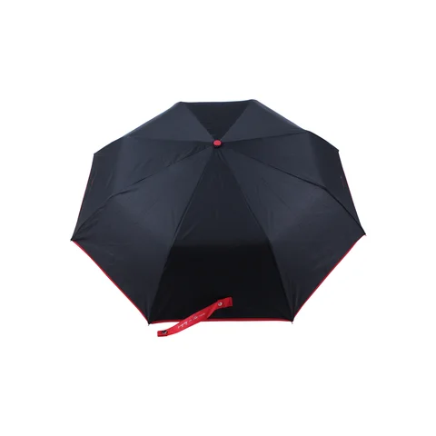 PARAG0004 - 28441- PARAGUA OREIRO  NEGRO