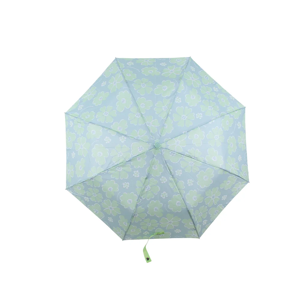 PARAG0063 - 28993 PARAGUA ORIERO AQUA FLOR