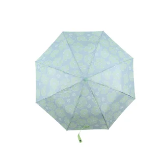 PARAG0063 - 28993 PARAGUA ORIERO AQUA FLOR - Vista 1