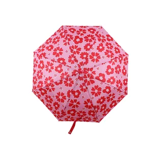 PARAG0061 - 28993 PARAGUA OREIRO ROSA FLOR - Vista 1