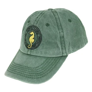 #HIPOCAMPO - HIPOCAMPO - Vista 2