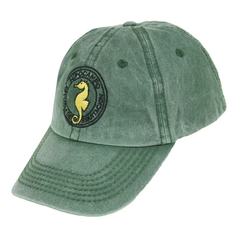 #HIPOCAMPO - HIPOCAMPO