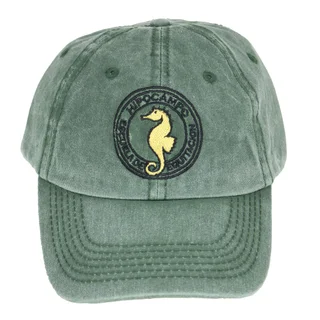 #HIPOCAMPO - HIPOCAMPO - Vista 1