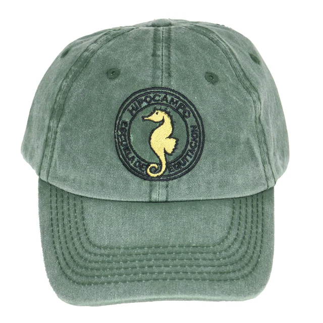 #HIPOCAMPO - HIPOCAMPO