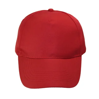 #1258RD - CAP 5 GAJOS  VISERA CURVA ADULTO - Vista 2