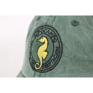 #HIPOCAMPO - HIPOCAMPO - Vista 3