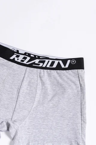 60 Boxer gris - Vista 2