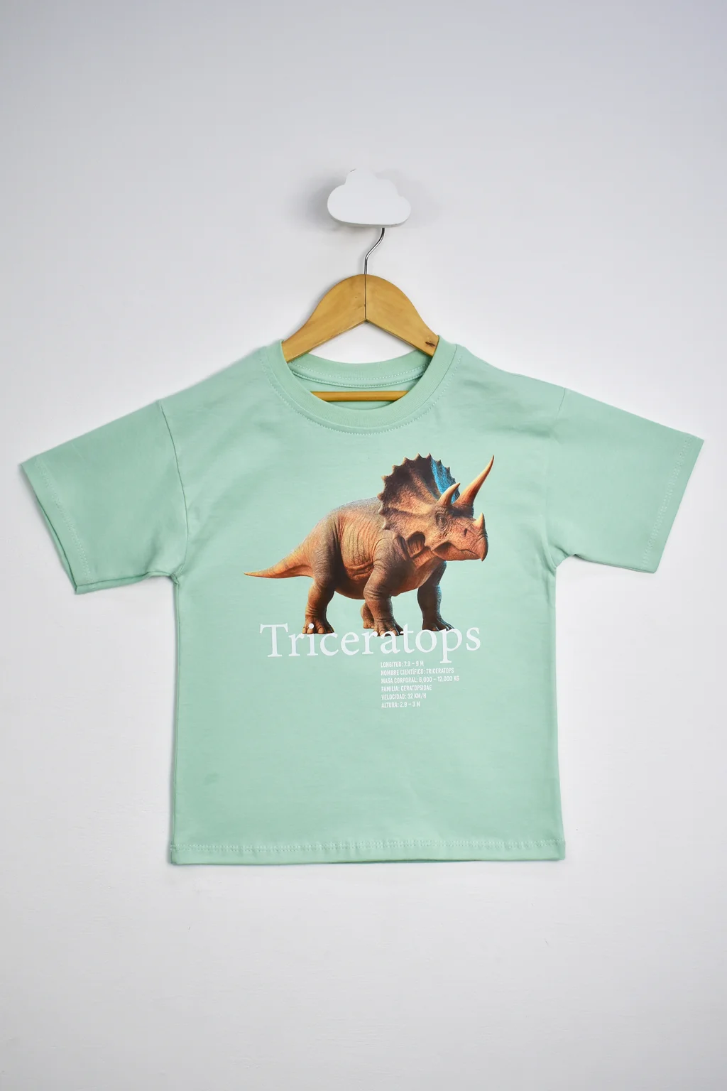 Remera - Jersey