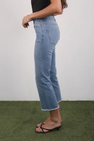 CROPPED BONSAI - Vista 3