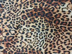 Animal Print