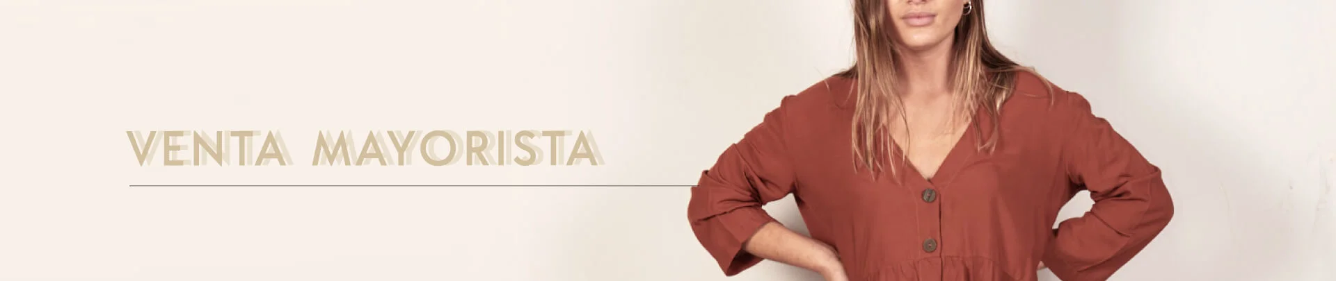 Tiramissu Mayorista Desktop