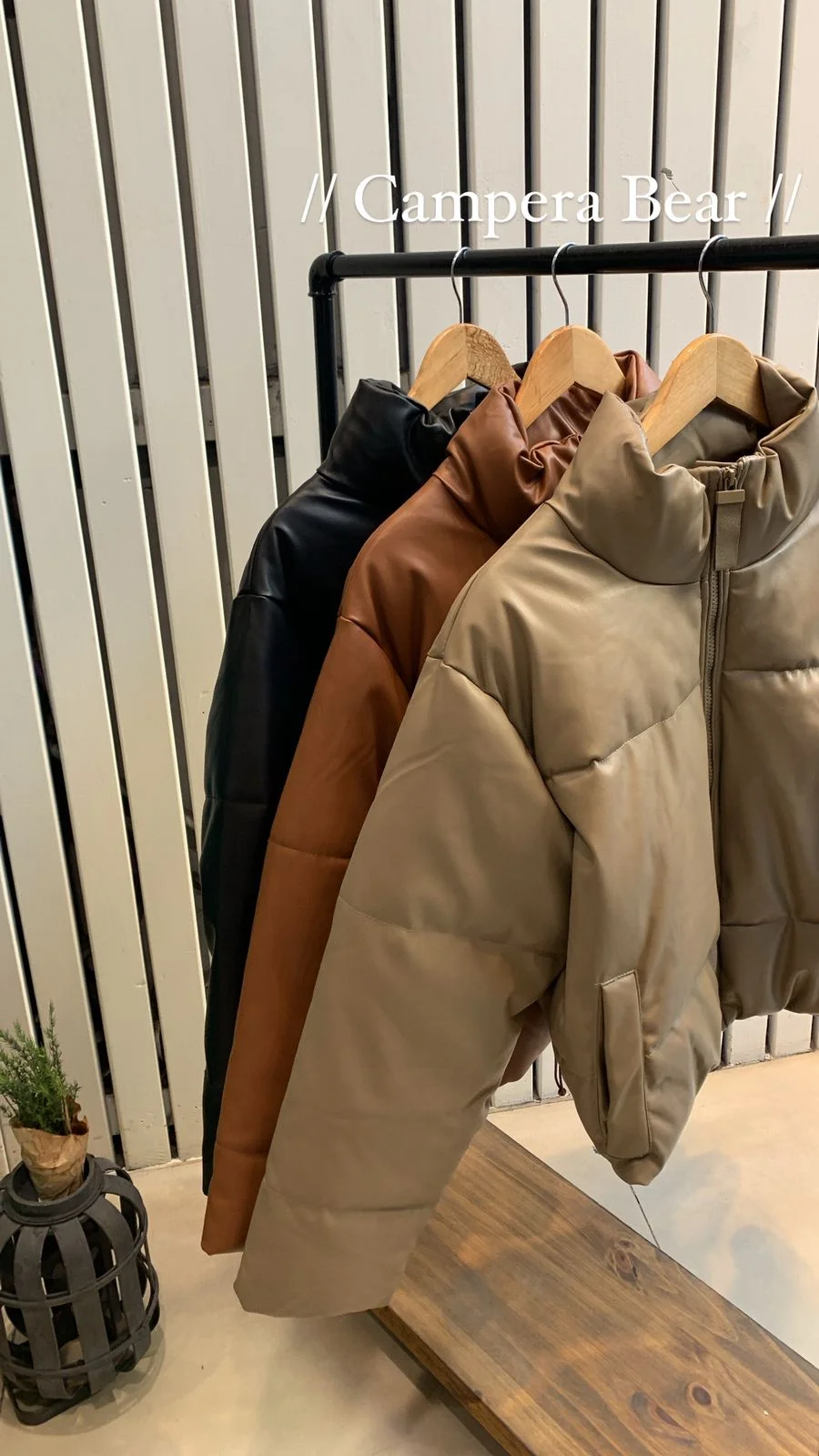 Campera Bear