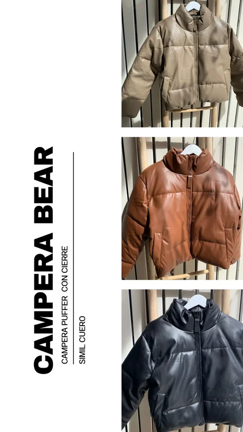 Campera Bear