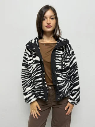 Bomber Chagal  - Vista 2