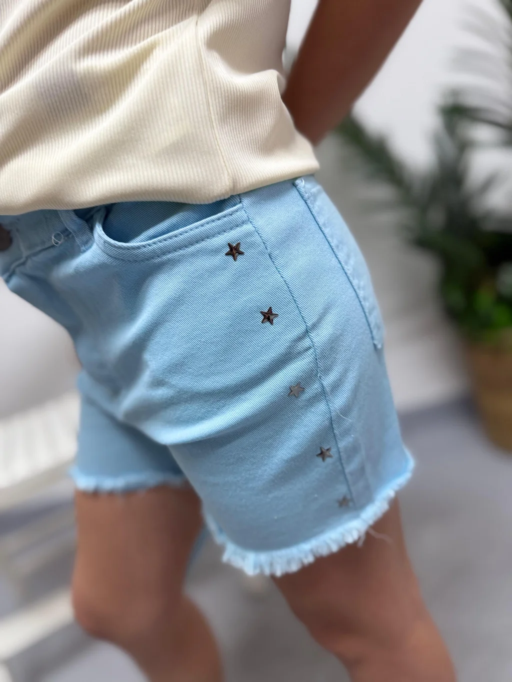 Short Holograma