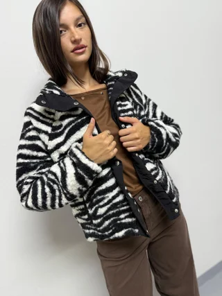 Bomber Chagal  - Vista 1